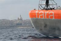 Tara Oceans expedition to make a stop in Dubrovnik 